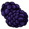 Blackberries